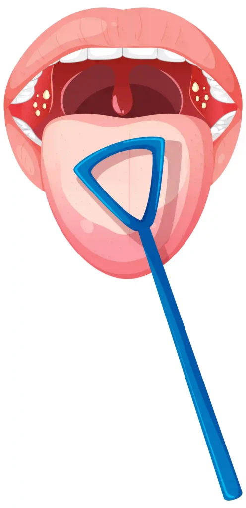 Why Your Tongue is the Secret Key to Your Oral Hygiene 4 Tongue is the secret weapon to oral hygiene Twinkle Family Dental Care